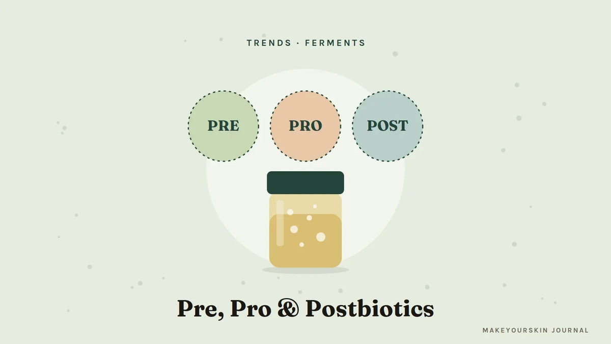 Illustration of prebiotic, probiotic and postbiotic bubbles above a jar of bubbling ferment — MakeYourSkin Journal