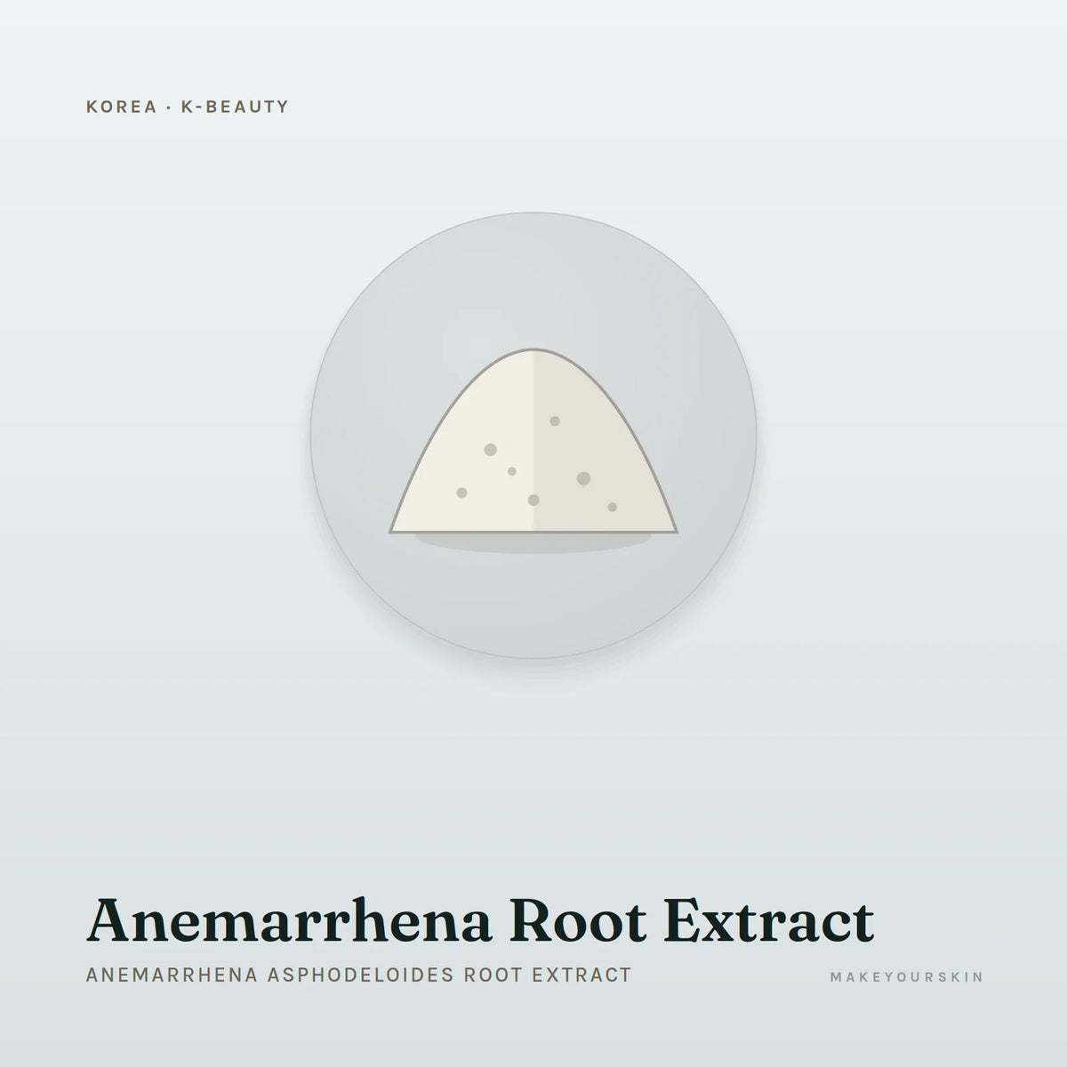 Anemarrhena Root Extract (Anemarrhena Asphodeloides Root Extract) — powder, Global — MakeYourSkin