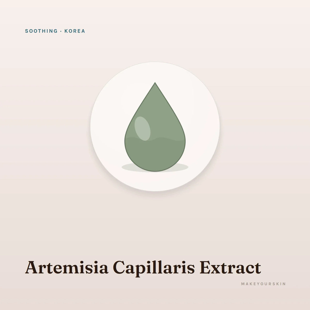 Artemisia Capillaris Extract — liquid, Korea · K-Beauty — MakeYourSkin