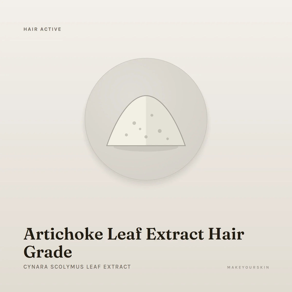 Artichoke Leaf Extract Hair Grade (Cynara Scolymus Leaf Extract) — powder, Global — MakeYourSkin