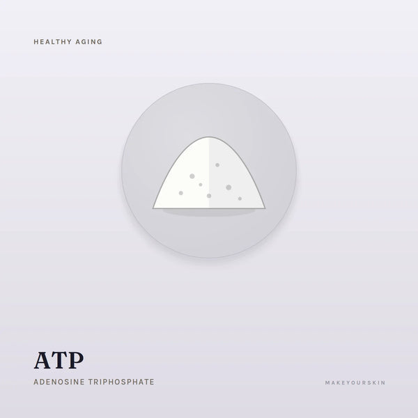 ATP (Adenosine Triphosphate) — powder, Global — MakeYourSkin