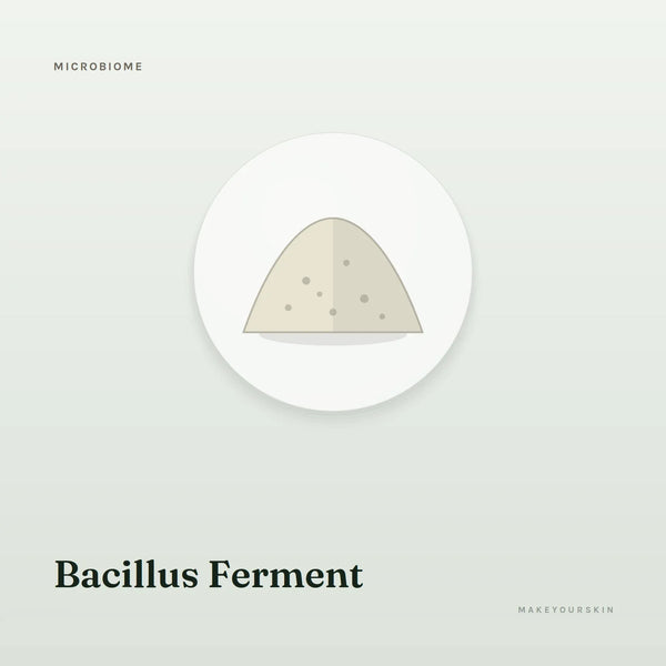 Bacillus Ferment — powder, Global — MakeYourSkin