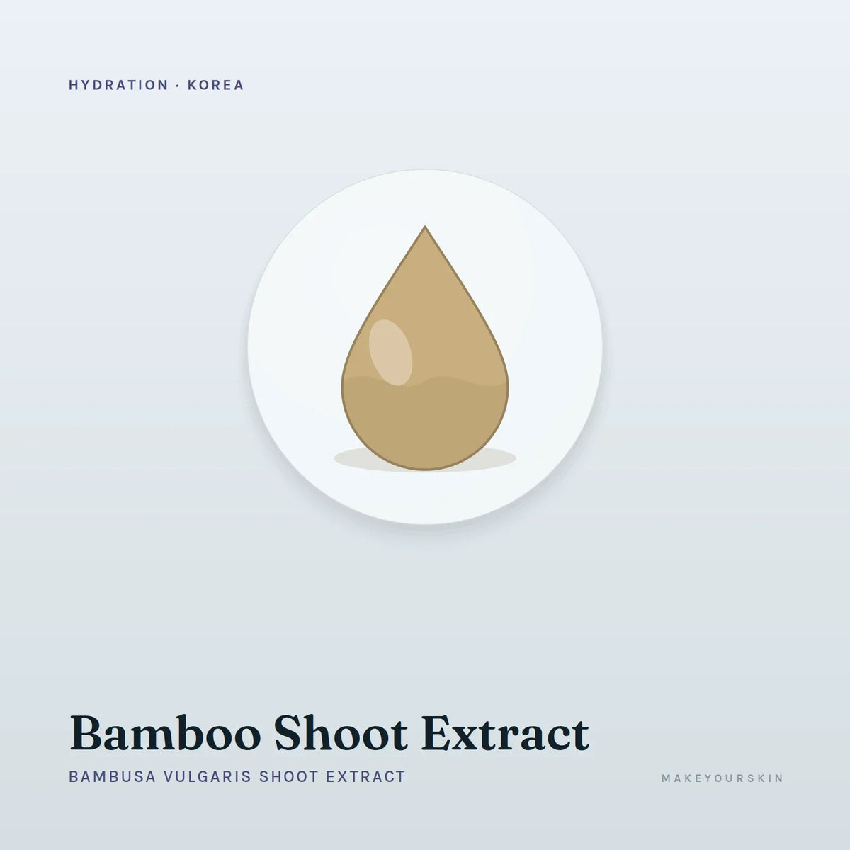 Bamboo Shoot Extract (Bambusa Vulgaris Shoot Extract) — liquid, Korea · Japan — MakeYourSkin