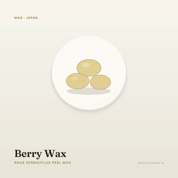 Berry Wax (Rhus Verniciflua Peel Wax) — wax / solid, Japan · J-Beauty — MakeYourSkin
