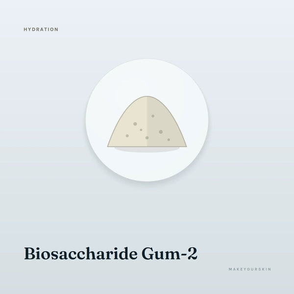 Biosaccharide Gum-2 — powder, Global — MakeYourSkin