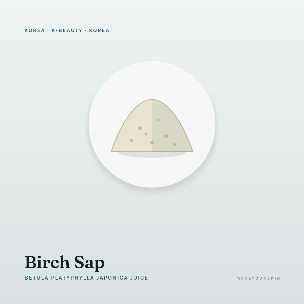Birch Sap (Betula Platyphylla Japonica Juice) — powder, Korea · K-Beauty — MakeYourSkin