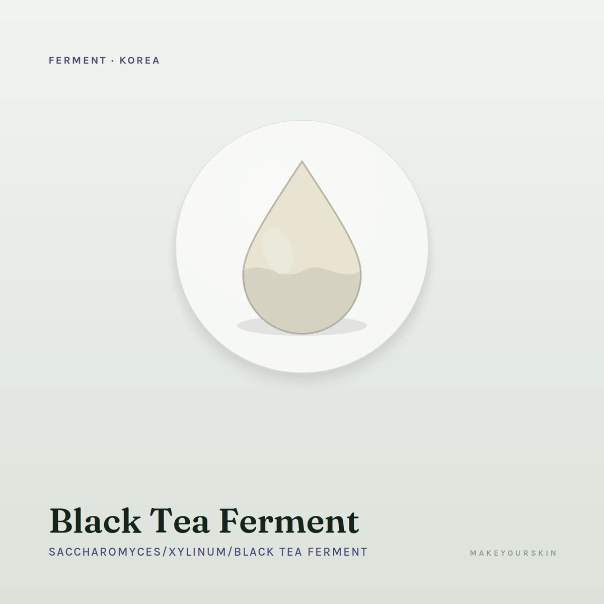 Black Tea Ferment (Saccharomyces/Xylinum/Black Tea Ferment) — liquid, Korea · Japan — MakeYourSkin