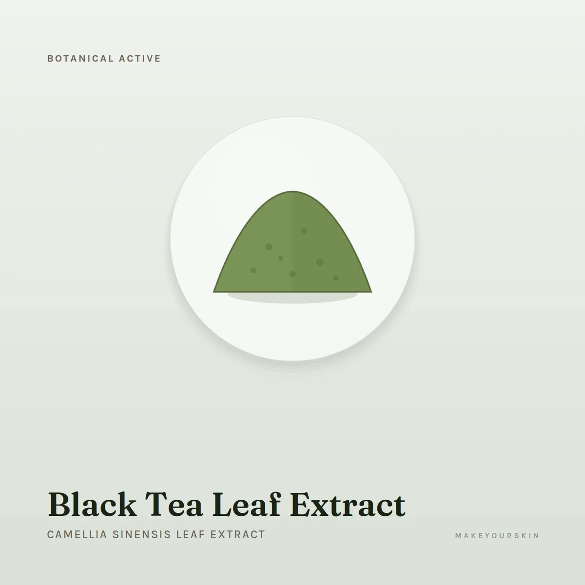 Black Tea Leaf Extract (Camellia Sinensis Leaf Extract) — powder, Global — MakeYourSkin