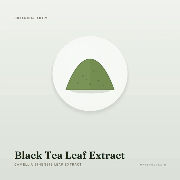 Black Tea Leaf Extract (Camellia Sinensis Leaf Extract) — powder, Global — MakeYourSkin