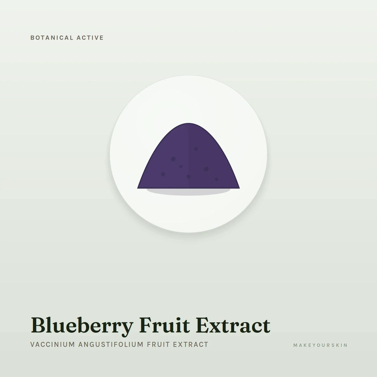 Blueberry Fruit Extract (Vaccinium Angustifolium Fruit Extract) — powder, Global — MakeYourSkin