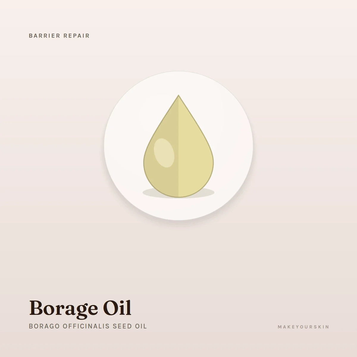 Borage Oil (Borago Officinalis Seed Oil) — oil, Global — MakeYourSkin
