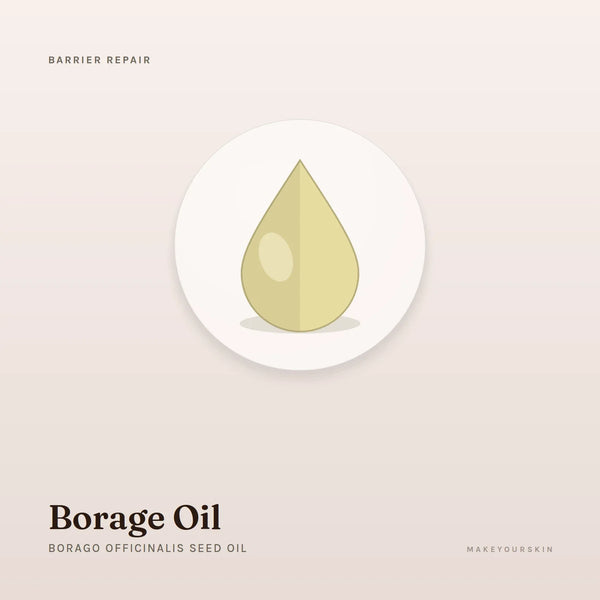 Borage Oil (Borago Officinalis Seed Oil) — oil, Global — MakeYourSkin