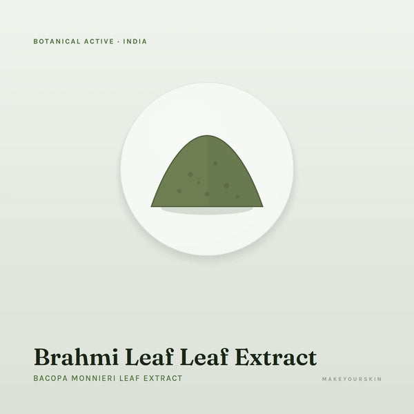 Brahmi Leaf Leaf Extract (Bacopa Monnieri Leaf Extract) — powder, India · Ayurveda — MakeYourSkin