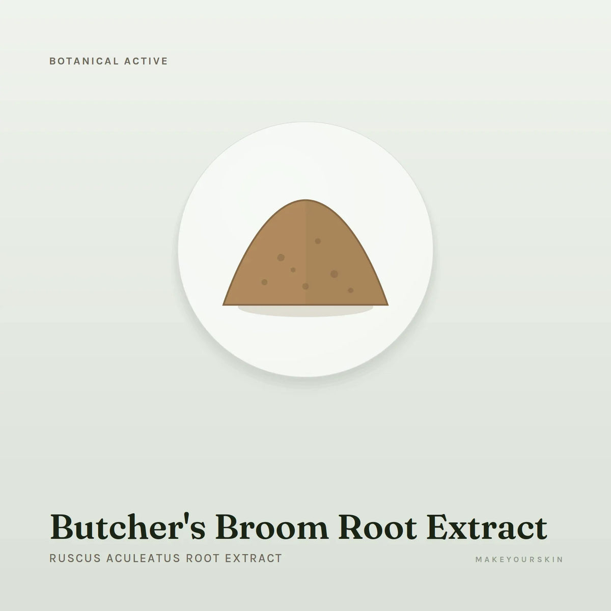 Butcher's Broom Root Extract (Ruscus Aculeatus Root Extract) — powder, Global — MakeYourSkin