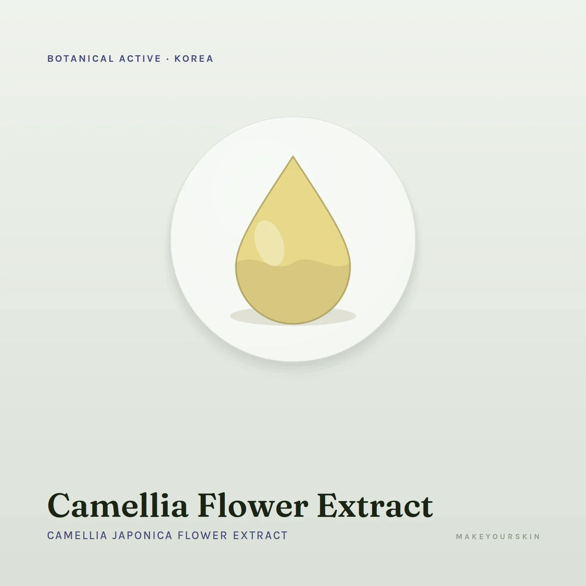 Camellia Flower Extract (Camellia Japonica Flower Extract) — liquid, Korea · Japan — MakeYourSkin