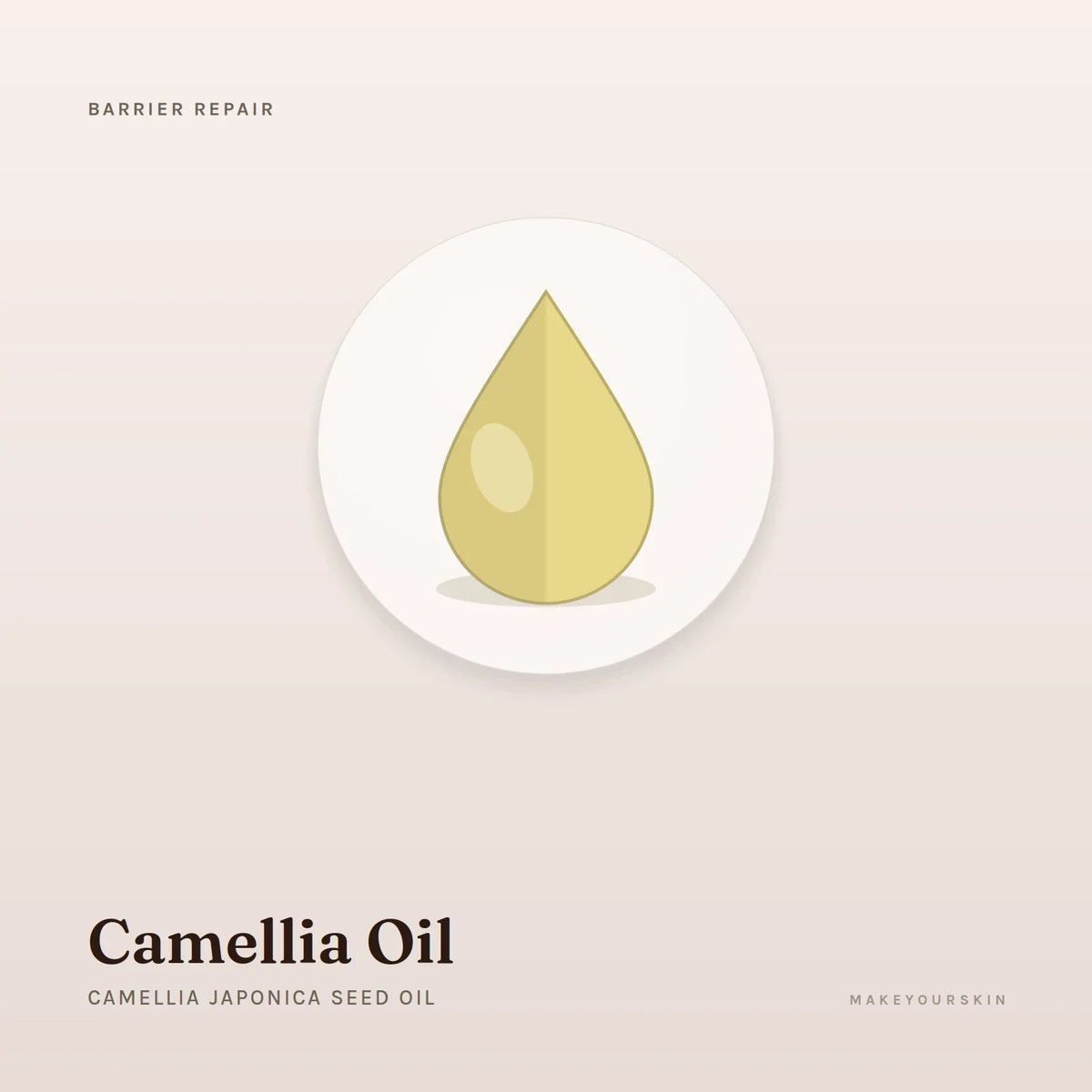 Camellia Oil (Camellia Japonica Seed Oil) — oil, Global — MakeYourSkin