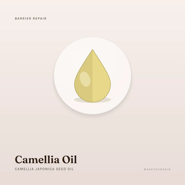 Camellia Oil (Camellia Japonica Seed Oil) — oil, Global — MakeYourSkin