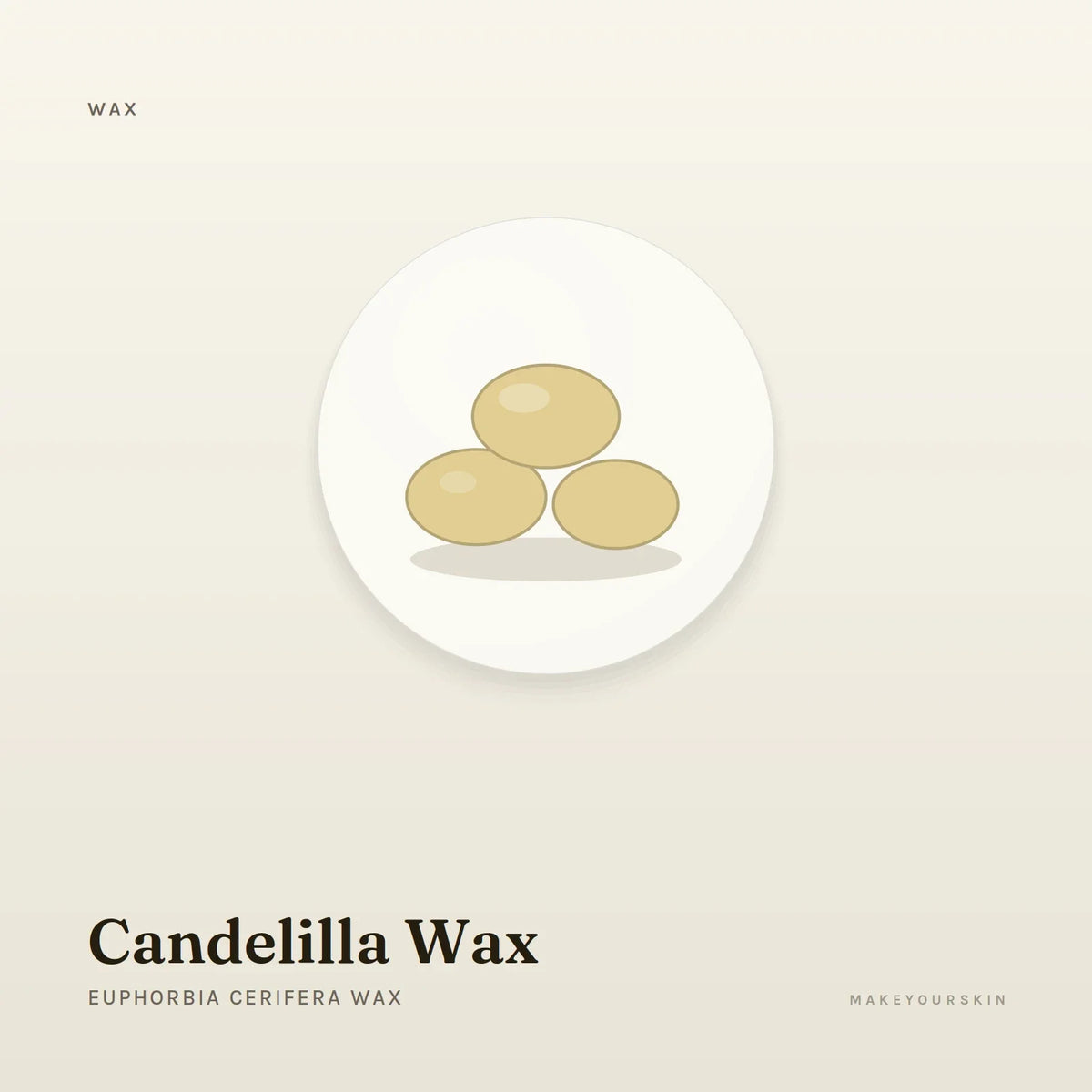Candelilla Wax (Euphorbia Cerifera Wax) — wax / solid, Global — MakeYourSkin