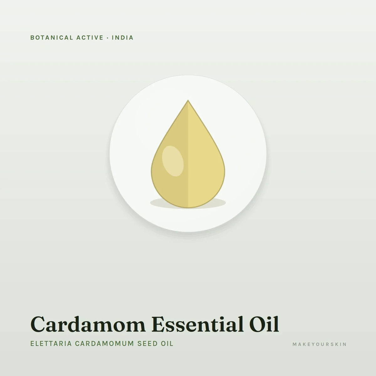 Cardamom Essential Oil (Elettaria Cardamomum Seed Oil) — oil, India · Ayurveda — MakeYourSkin