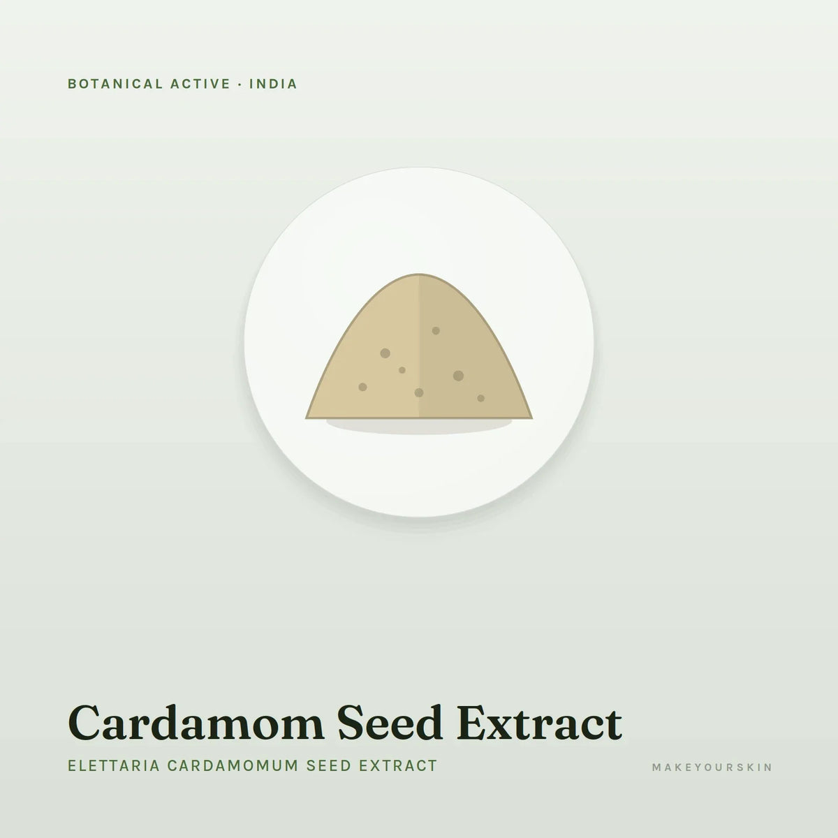 Cardamom Seed Extract (Elettaria Cardamomum Seed Extract) — powder, India · Ayurveda — MakeYourSkin