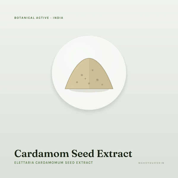 Cardamom Seed Extract (Elettaria Cardamomum Seed Extract) — powder, India · Ayurveda — MakeYourSkin