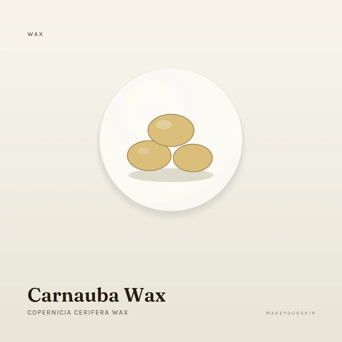 Carnauba Wax (Copernicia Cerifera Wax) — wax / solid, Global — MakeYourSkin