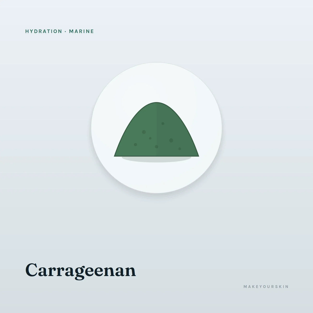 Carrageenan — powder, Marine · Algae — MakeYourSkin