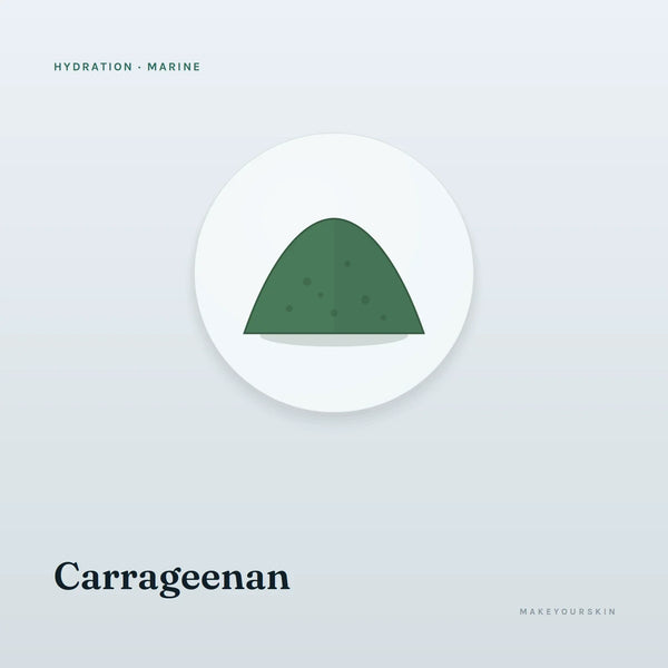 Carrageenan — powder, Marine · Algae — MakeYourSkin