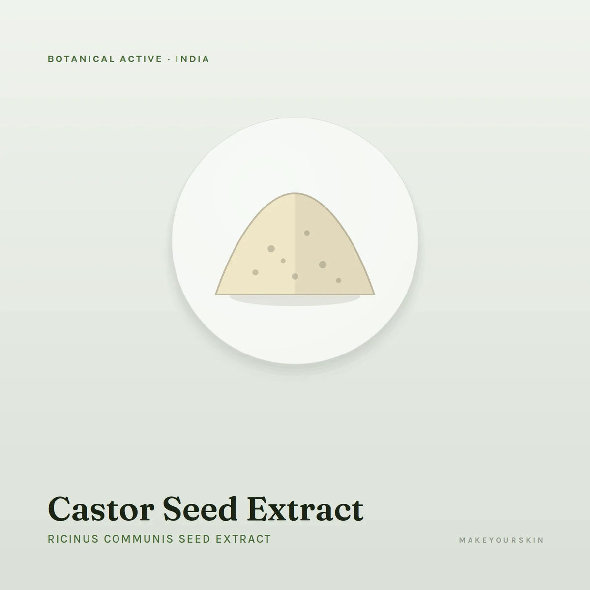 Castor Seed Extract (Ricinus Communis Seed Extract) — powder, India · Ayurveda — MakeYourSkin