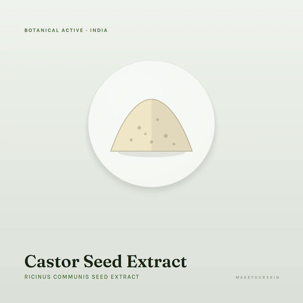 Castor Seed Extract (Ricinus Communis Seed Extract) — powder, India · Ayurveda — MakeYourSkin