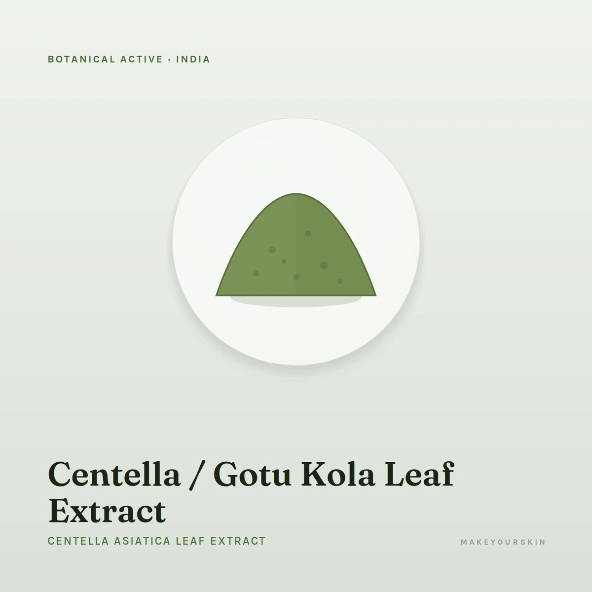 Centella / Gotu Kola Leaf Extract (Centella Asiatica Leaf Extract) — powder, India · Ayurveda — MakeYourSkin