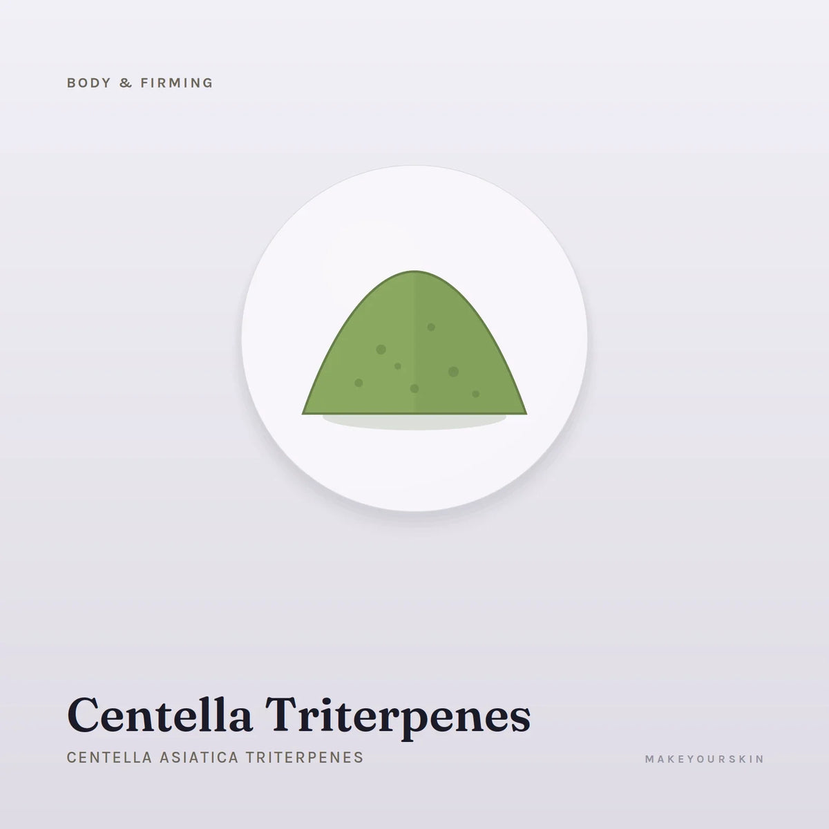 Centella Triterpenes (Centella Asiatica Triterpenes) — powder, Global — MakeYourSkin