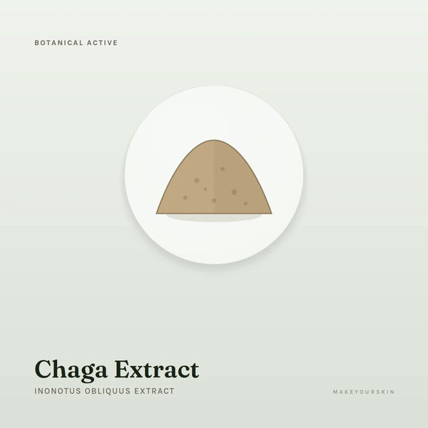 Chaga Extract (Inonotus Obliquus Extract) — powder, Global — MakeYourSkin