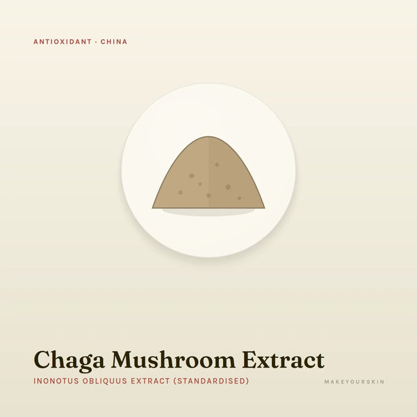 Chaga Mushroom Extract (Inonotus Obliquus Extract (Standardised)) — powder, China · TCM — MakeYourSkin