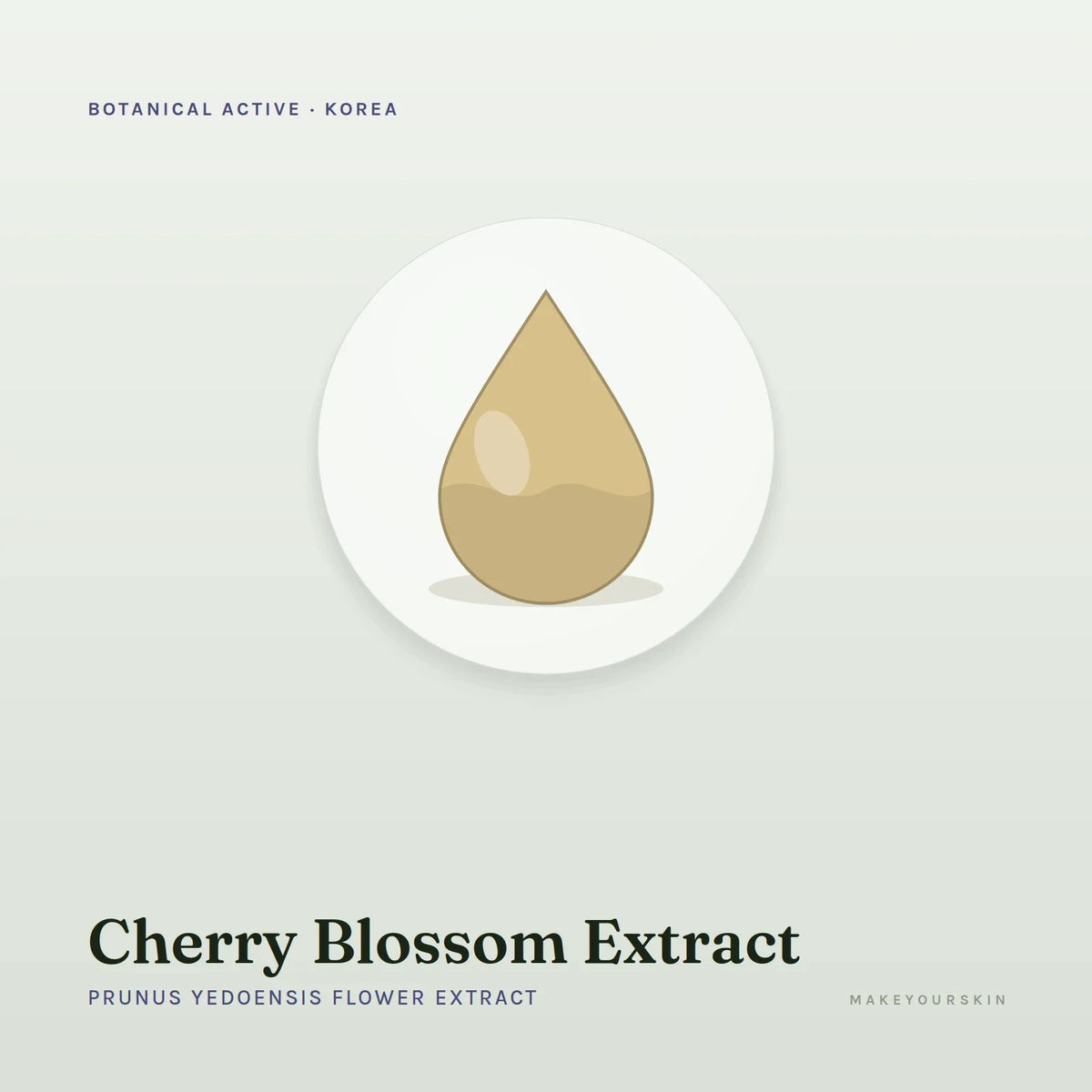 Cherry Blossom Extract (Prunus Yedoensis Flower Extract) — liquid, Korea · Japan — MakeYourSkin
