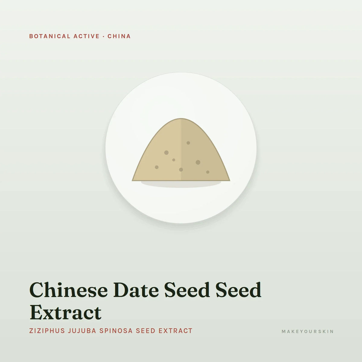 Chinese Date Seed Seed Extract (Ziziphus Jujuba Spinosa Seed Extract) — powder, China · TCM — MakeYourSkin
