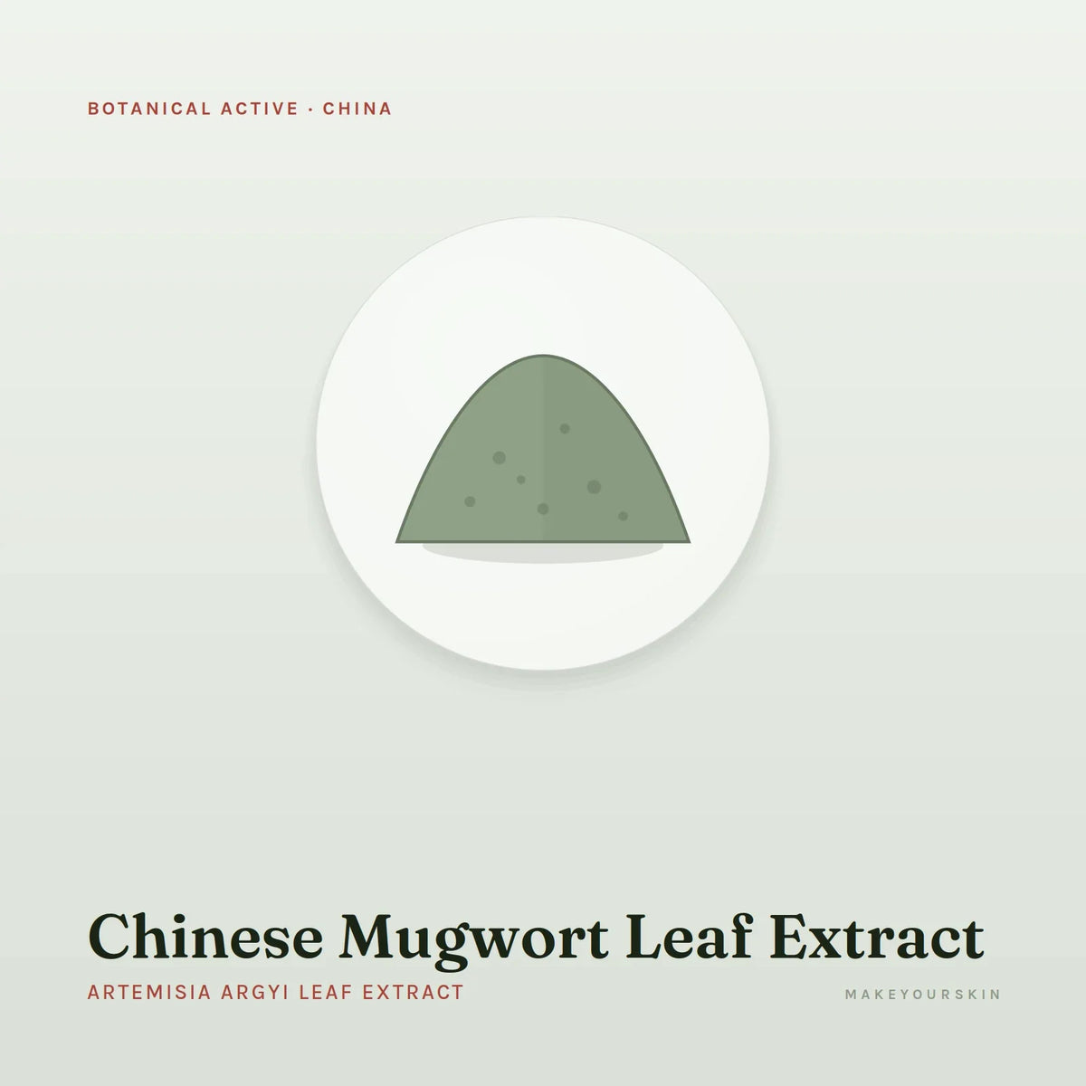 Chinese Mugwort Leaf Extract (Artemisia Argyi Leaf Extract) — powder, China · TCM — MakeYourSkin
