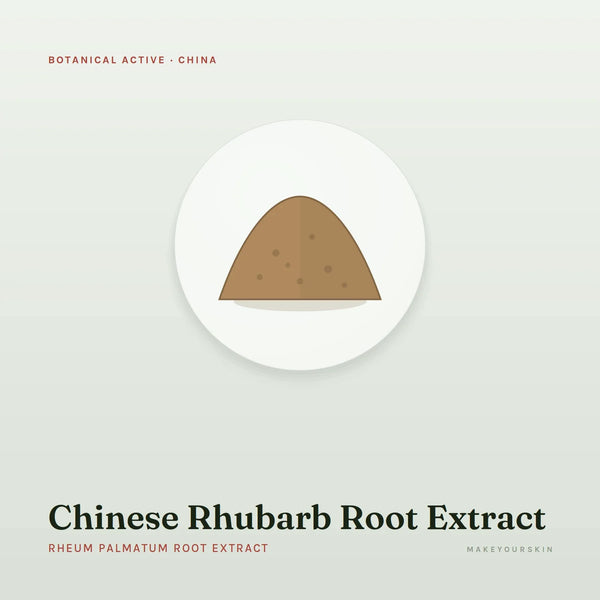 Chinese Rhubarb Root Extract (Rheum Palmatum Root Extract) — powder, China · TCM — MakeYourSkin