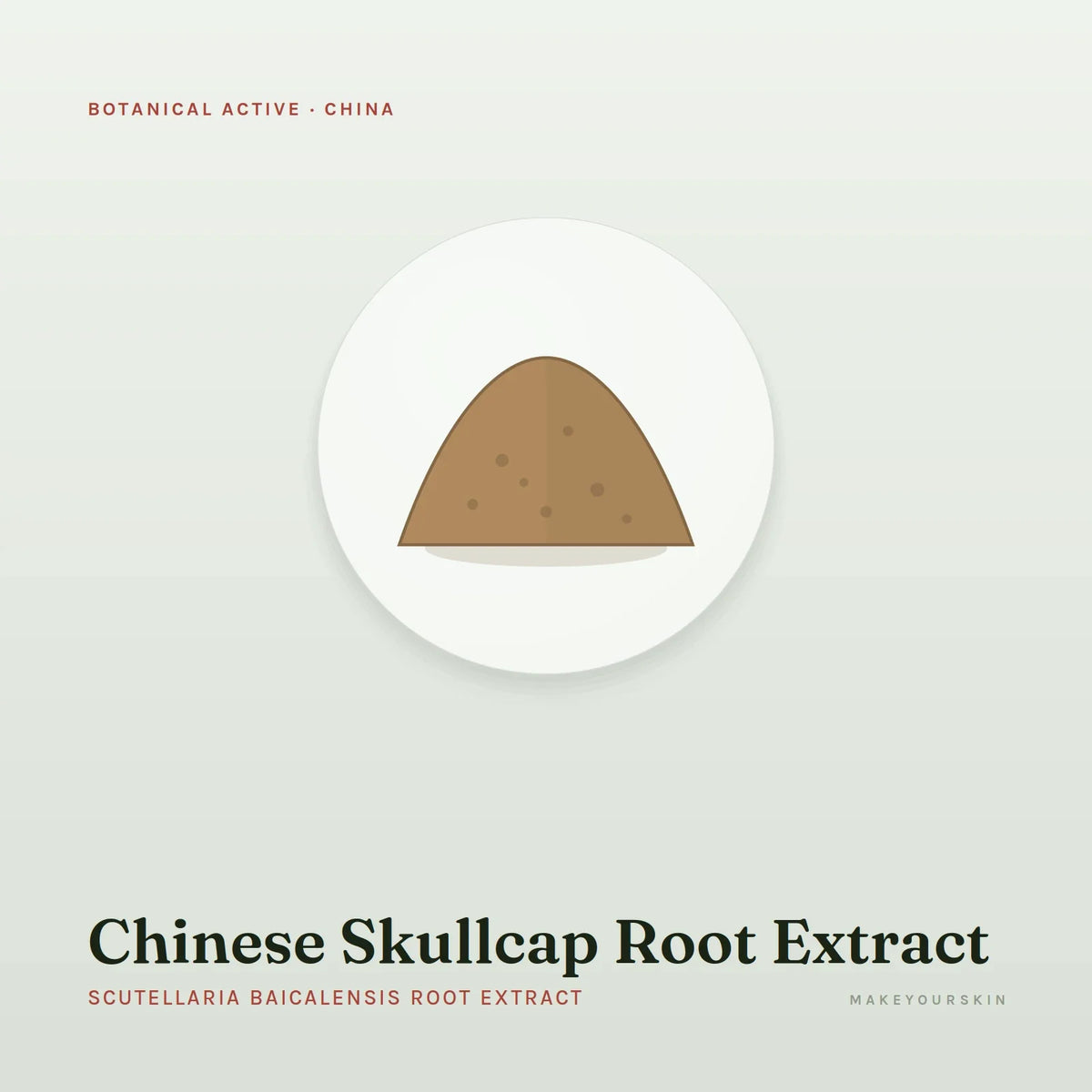 Chinese Skullcap Root Extract (Scutellaria Baicalensis Root Extract) — powder, China · TCM — MakeYourSkin