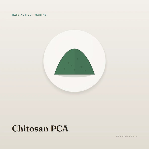 Chitosan PCA — powder, Marine · Algae — MakeYourSkin
