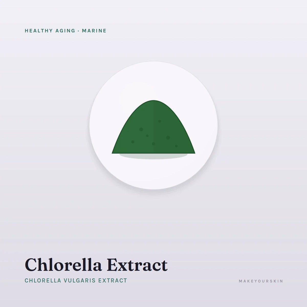 Chlorella Extract (Chlorella Vulgaris Extract) — powder, Marine · Algae — MakeYourSkin