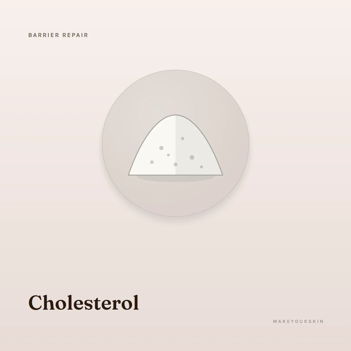 Cholesterol — powder, Global — MakeYourSkin