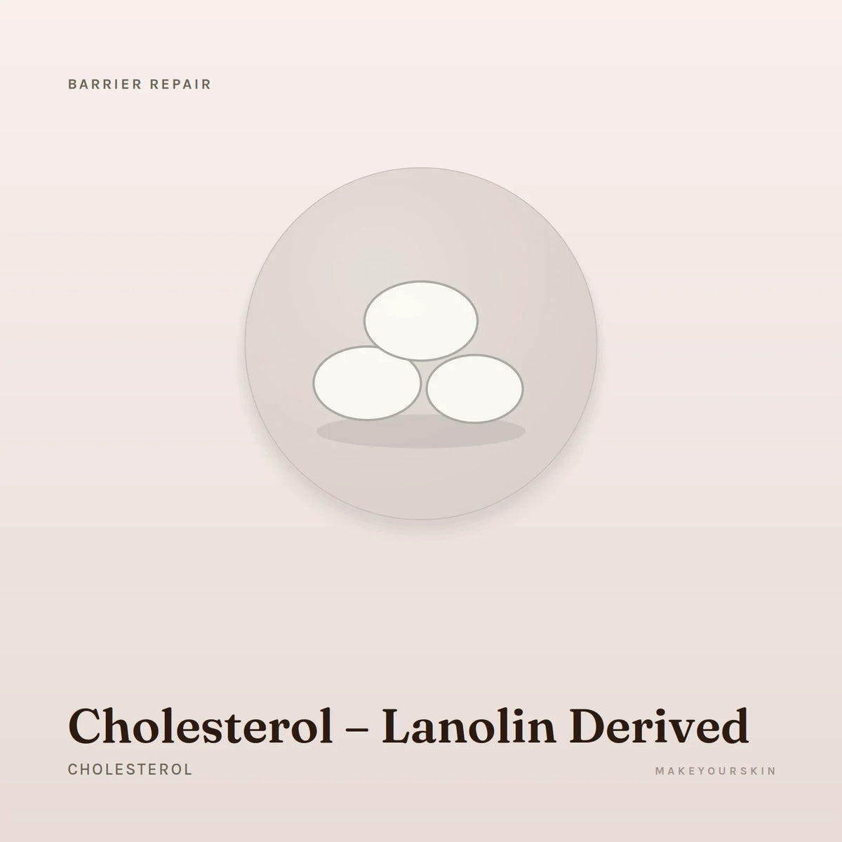 Cholesterol – Lanolin Derived (Cholesterol) — wax / solid, Global — MakeYourSkin