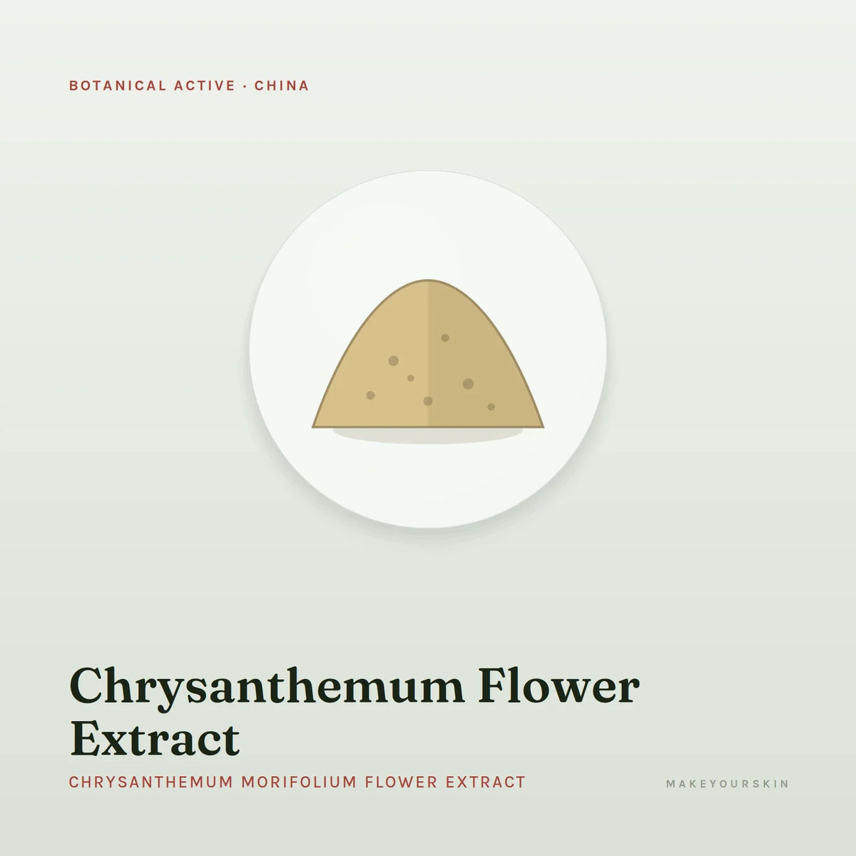 Chrysanthemum Flower Extract (Chrysanthemum Morifolium Flower Extract) — powder, China · TCM — MakeYourSkin