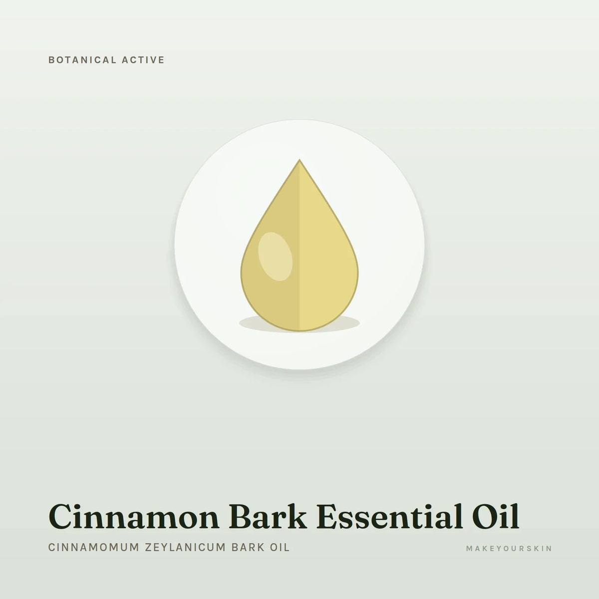 Cinnamon Bark Essential Oil (Cinnamomum Zeylanicum Bark Oil) — oil, Global — MakeYourSkin