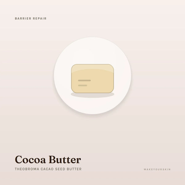Cocoa Butter (Theobroma Cacao Seed Butter) — butter, Global — MakeYourSkin