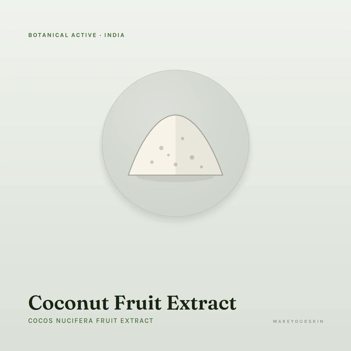 Coconut Fruit Extract (Cocos Nucifera Fruit Extract) — powder, India · Ayurveda — MakeYourSkin