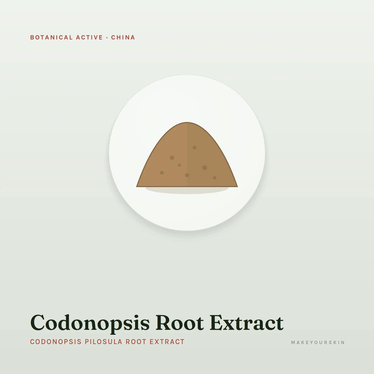 Codonopsis Root Extract (Codonopsis Pilosula Root Extract) — powder, China · TCM — MakeYourSkin