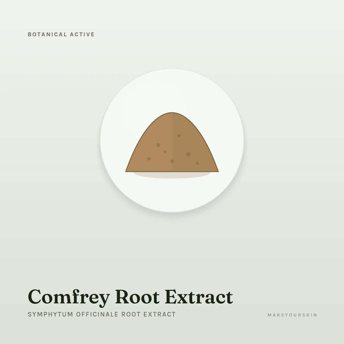Comfrey Root Extract (Symphytum Officinale Root Extract) — powder, Global — MakeYourSkin