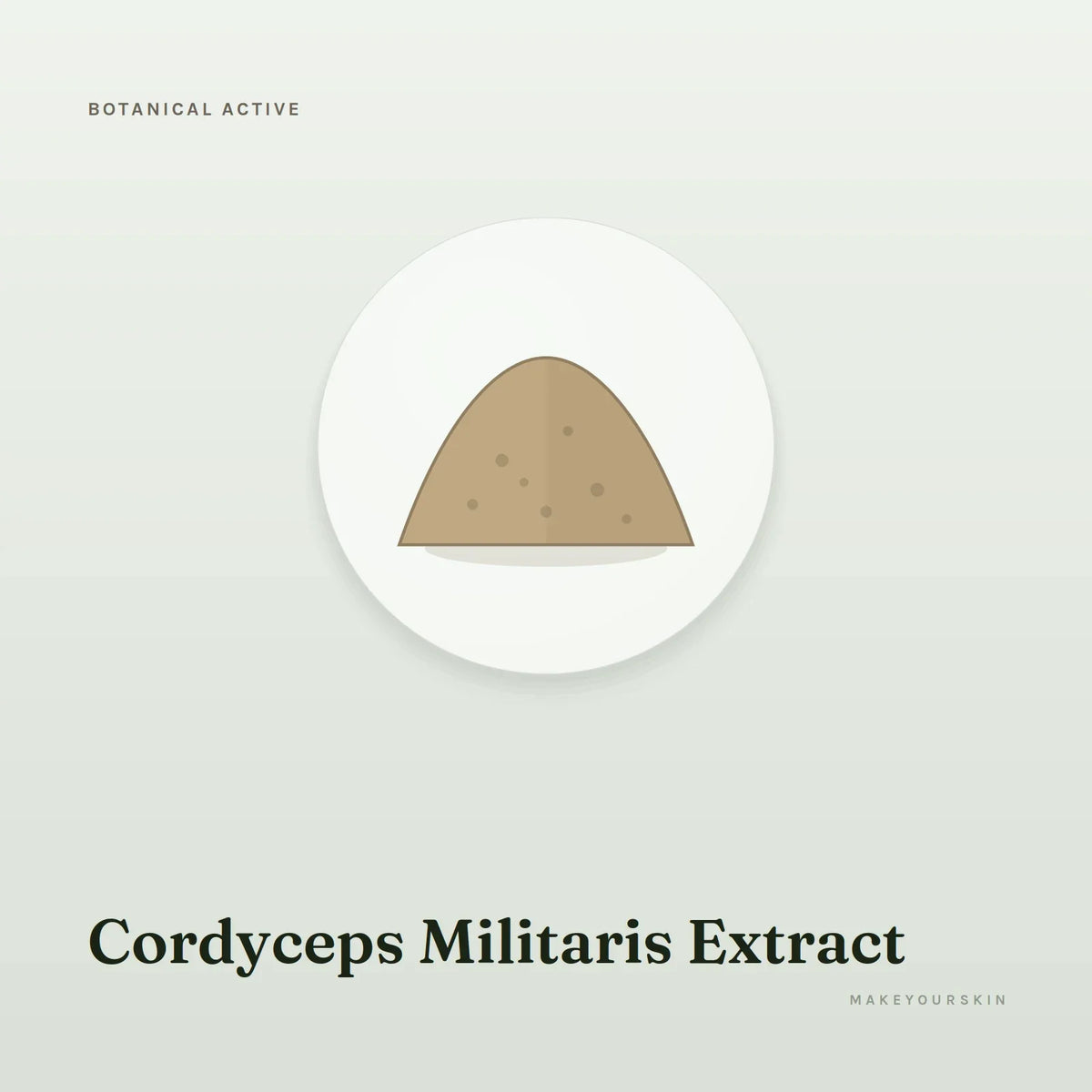 Cordyceps Militaris Extract — powder, Global — MakeYourSkin